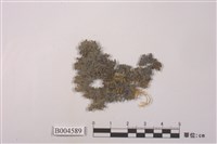 藏品(薄刃貓耳衣)的圖片